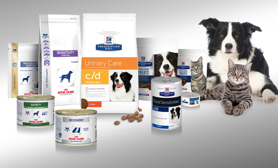 Alimentation spéciale: Nourriture vétérinaire pour chien et chat - Blog du  QUALIPET